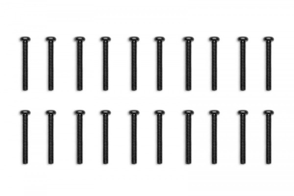 EKWB EK-Loop Phillips Head Screw Set M4x30mm - Black (20pcs) (3831109897997)