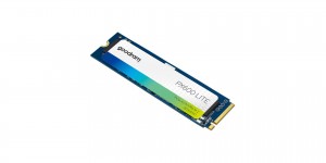 Good Ram 256GB M.2 2280 NVMe PX600 Lite (SSDPR-PX600L-256-80)