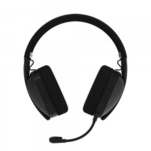 Zalman ZM-HPS650W Wireless Headset (ZM-HPS650W)